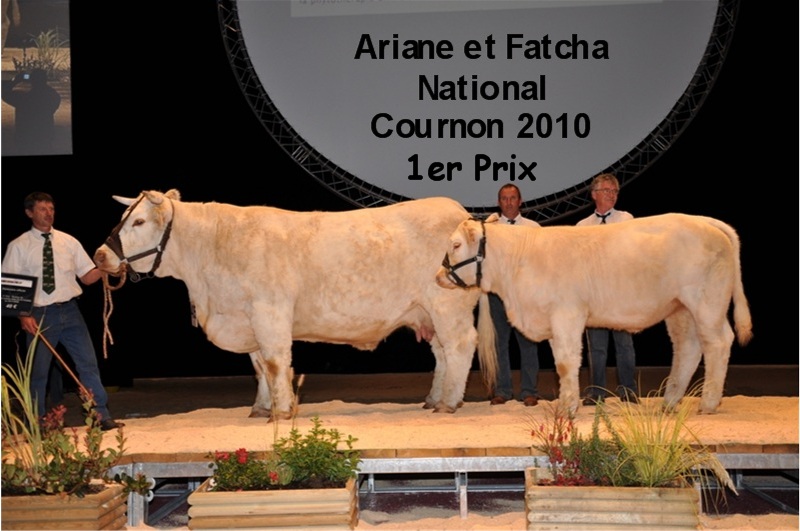 ARIANE COURNON 2010
